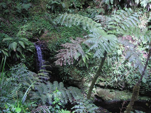 050125_Tanzania_Kilimanjaro 031