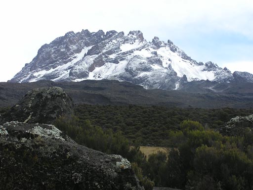 050125_Tanzania_Kilimanjaro 084