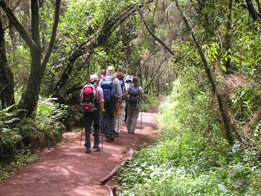 050125_Tanzania_Kilimanjaro 136