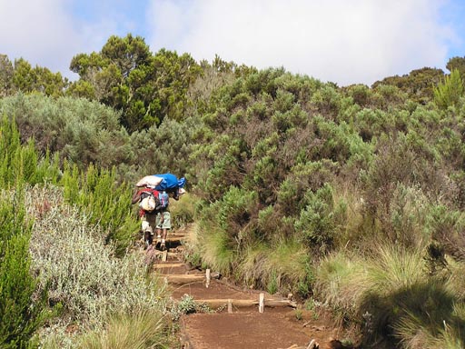051108 Tanzania Kilimanjaro 034