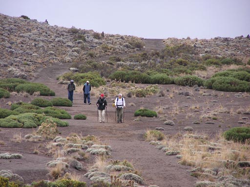 051108 Tanzania Kilimanjaro 044
