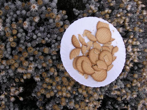 051108_Tanzania_Kilimanjaro_047