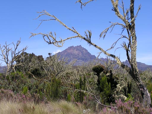 051108_Tanzania_Kilimanjaro_179