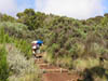 051108 Tanzania Kilimanjaro 034