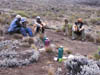 051108 Tanzania Kilimanjaro 049