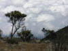 051108 Tanzania Kilimanjaro 173