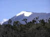 051108_Tanzania_Kilimanjaro_175