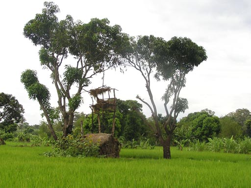 050125_Tanzania_Kilimanjaro 003_Moshi