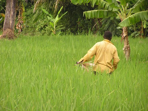 050125_Tanzania_Kilimanjaro 011_Moshi