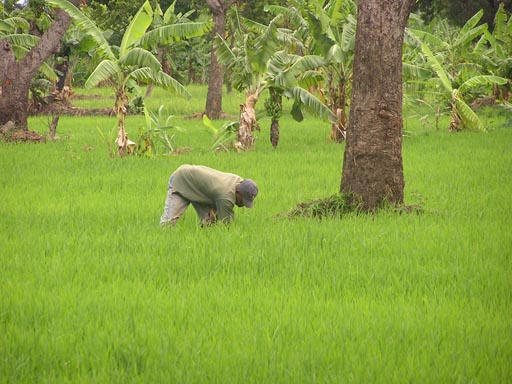 050125_Tanzania_Kilimanjaro 012_Moshi