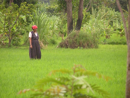 050125_Tanzania_Kilimanjaro 014_Moshi