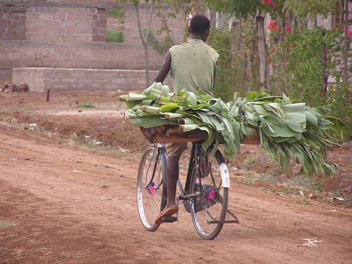 050125_Tanzania_Kilimanjaro 015_Moshi