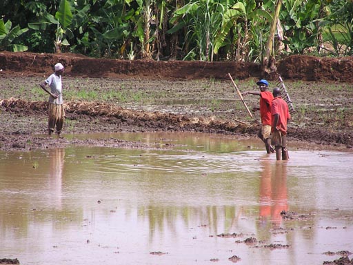 051108 Tanzania Kilimanjaro 002_Moshi