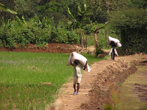 051108 Tanzania Kilimanjaro 005_Moshi
