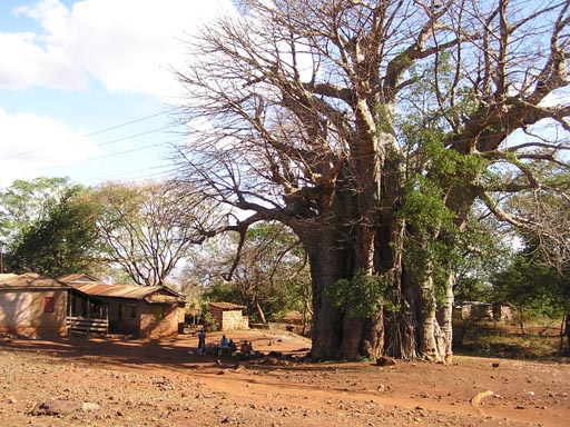 051108_Tanzania_Kilimanjaro_188_Moshi