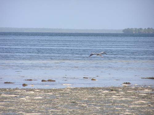 050125_Tanzania_Zanzibar 020