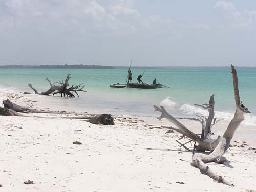 050125_Tanzania_Zanzibar 052