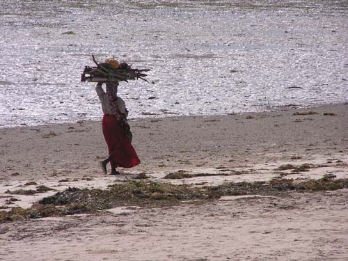 050125_Tanzania_Zanzibar 061