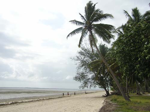 050125_Tanzania_Zanzibar 067