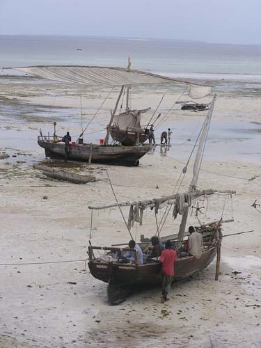 050125_Tanzania_Zanzibar 120