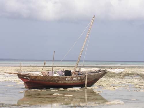 050125_Tanzania_Zanzibar 131