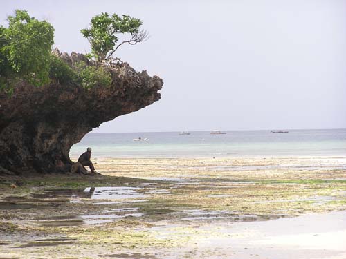 050125_Tanzania_Zanzibar 136