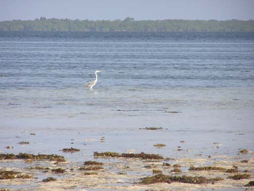 050125_Tanzania_Zanzibar 023