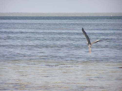 050125_Tanzania_Zanzibar 029