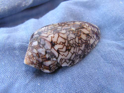 050125_Tanzania_Zanzibar 031