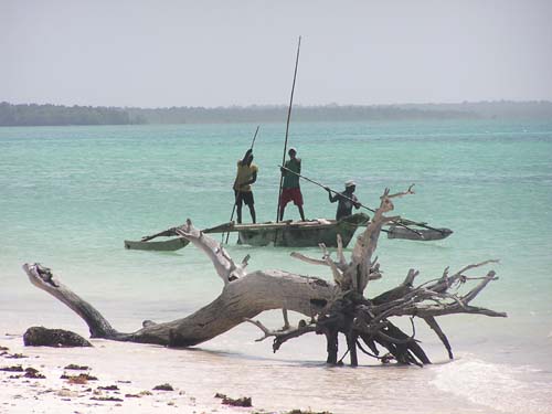 050125_Tanzania_Zanzibar 038