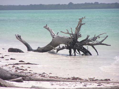 050125_Tanzania_Zanzibar 063