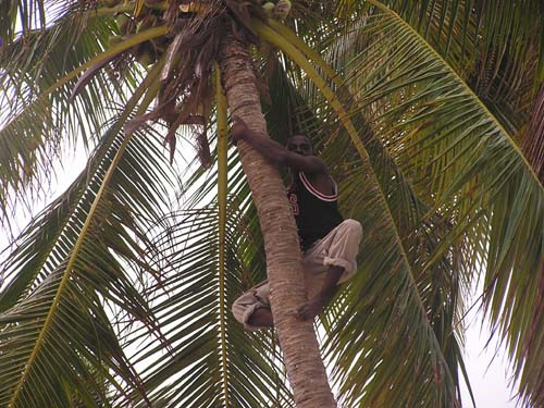 050125_Tanzania_Zanzibar 070