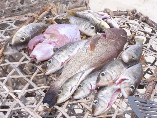 050125_Tanzania_Zanzibar 150