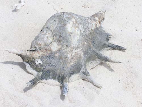 050125_Tanzania_Zanzibar 151