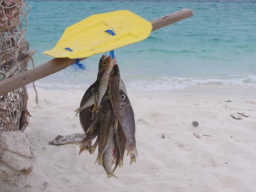 050125_Tanzania_Zanzibar 157