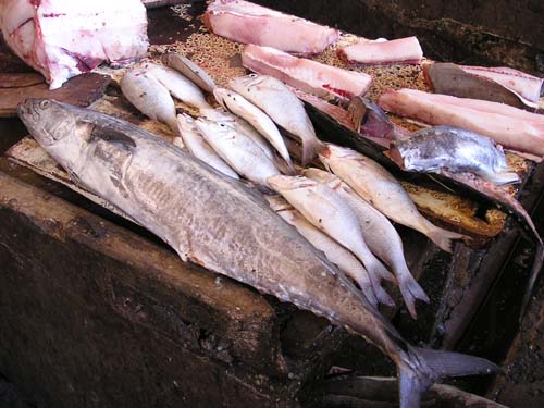 051108 Tanzania Zanzibar 212