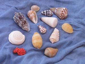 050125_Tanzania_Zanzibar 013