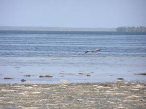 050125_Tanzania_Zanzibar 020