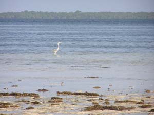 050125_Tanzania_Zanzibar 023