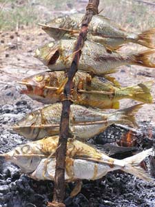 050125_Tanzania_Zanzibar 036