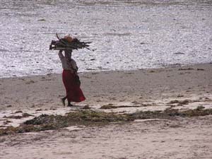 050125_Tanzania_Zanzibar 061