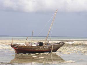 050125_Tanzania_Zanzibar 131