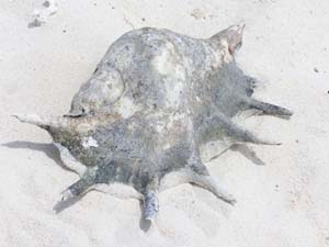 050125_Tanzania_Zanzibar 151