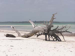 050125_Tanzania_Zanzibar 161