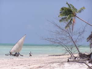 050125_Tanzania_Zanzibar 169