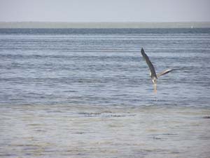 050125_Tanzania_Zanzibar 029