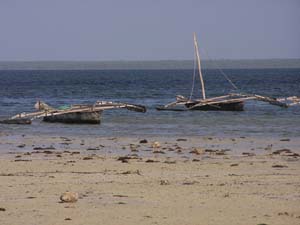 050125_Tanzania_Zanzibar 060