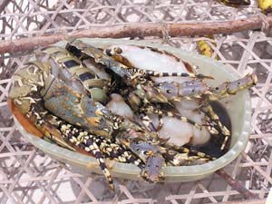 050125_Tanzania_Zanzibar 149