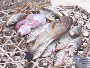 050125_Tanzania_Zanzibar 150