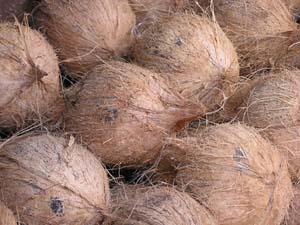 051108 Tanzania Zanzibar 206